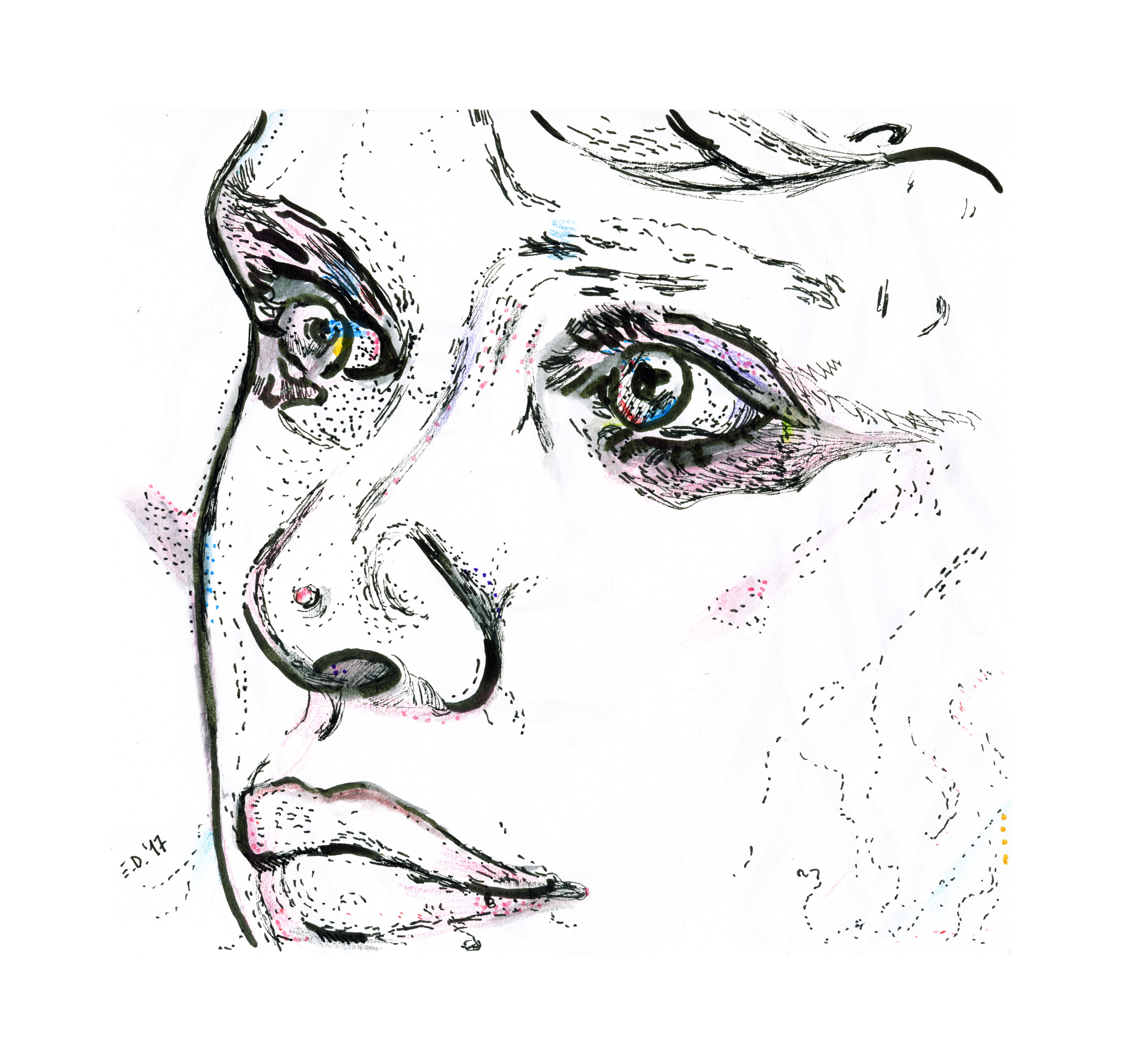 234 Ritratto (portrait) - Henrietta 2017