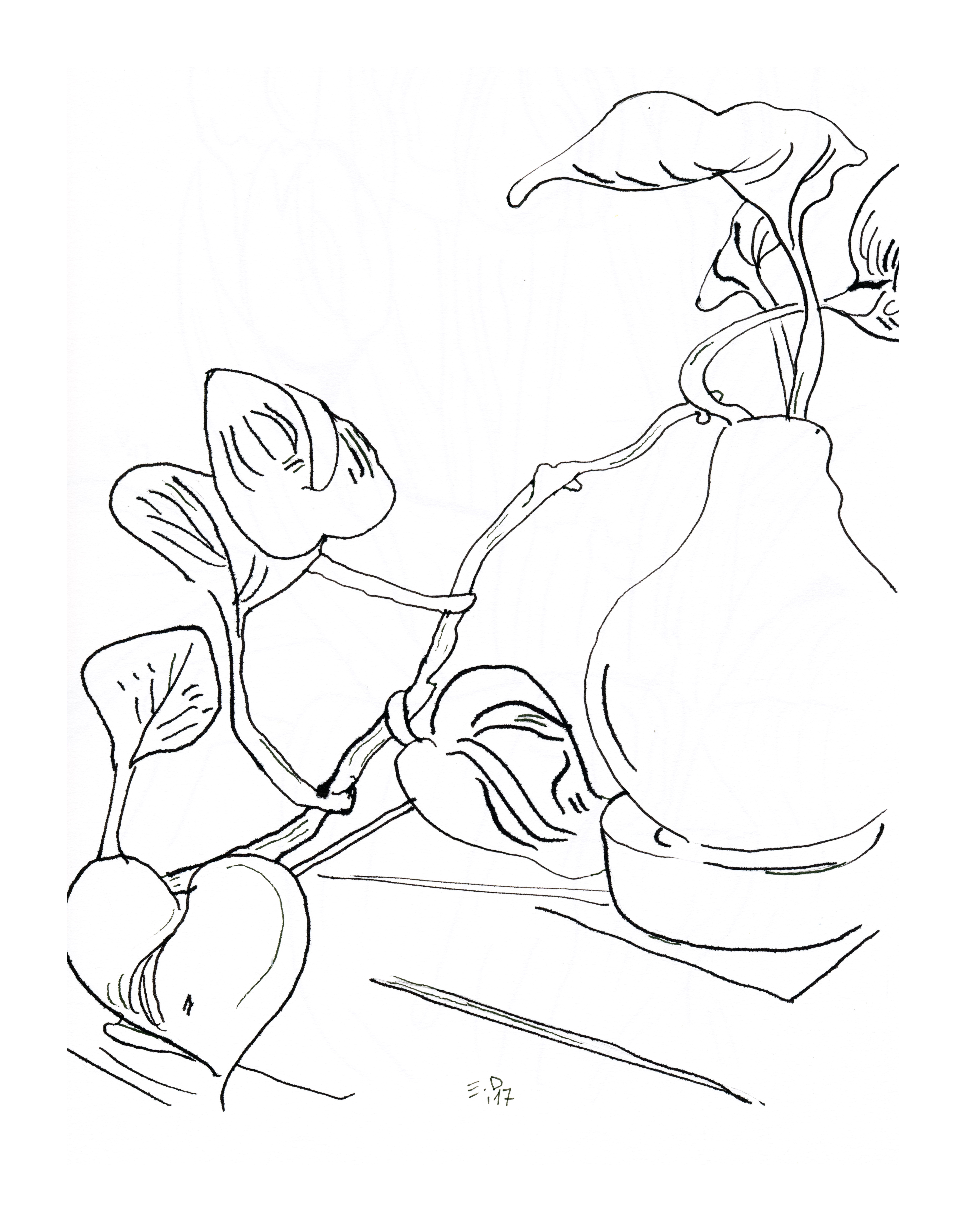 237 Fiori (flowers) 2017