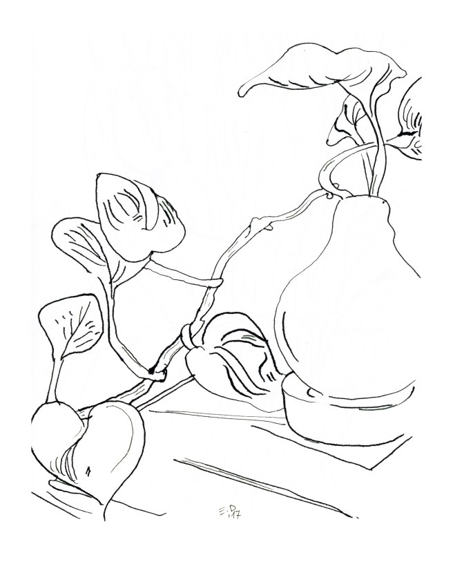 237 Fiori (flowers) 2017