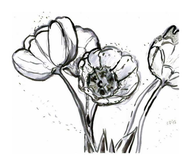 239 Fiori (flowers) 2017